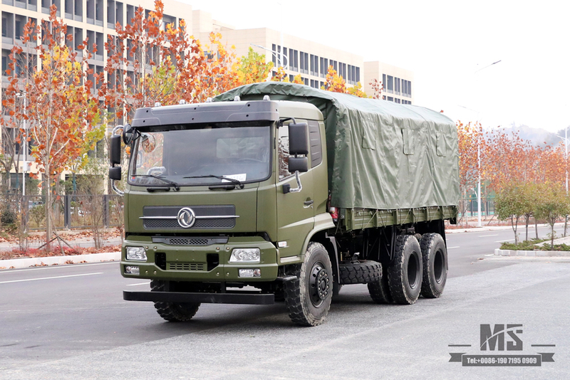 6x4 210 hp Dongfeng off-road truck_ Flathead Row Half Cab Transport truck Cargo Truck For sale_Dongfeng Export ຍານພາຫະນະພິເສດ