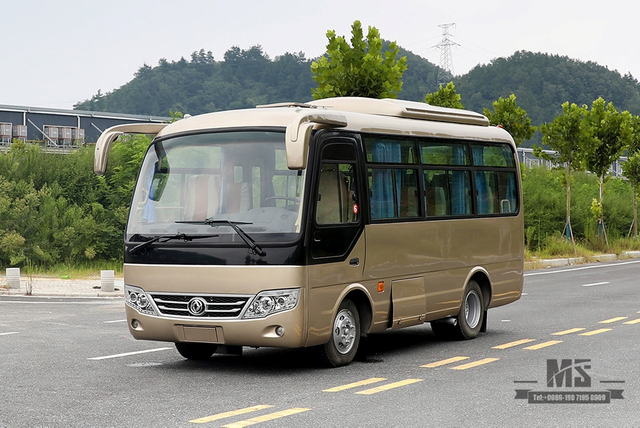 6m Single-axle Village Bus_Dongfeng 19- seater Medium-sized Bus_Export 115hp Countryside Bus