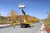 Dongfeng 4*2 ລົດບັນທຸກເບົາ Tip Off-road Lifting Truck_Small trimming Sanitation Lifting Truck_Export Special Micro Vehicle