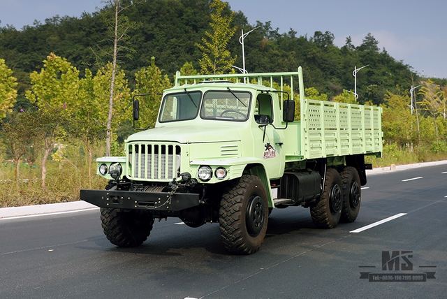 Dongfeng Six Wheel Drive EQ2100 Off Road Truck_190hp Dongfeng 3.5T Three Axle Mint Green Row Single Pointed Head AWD Truck_Export ພາຫະນະຈຸດປະສົງພິເສດ 
