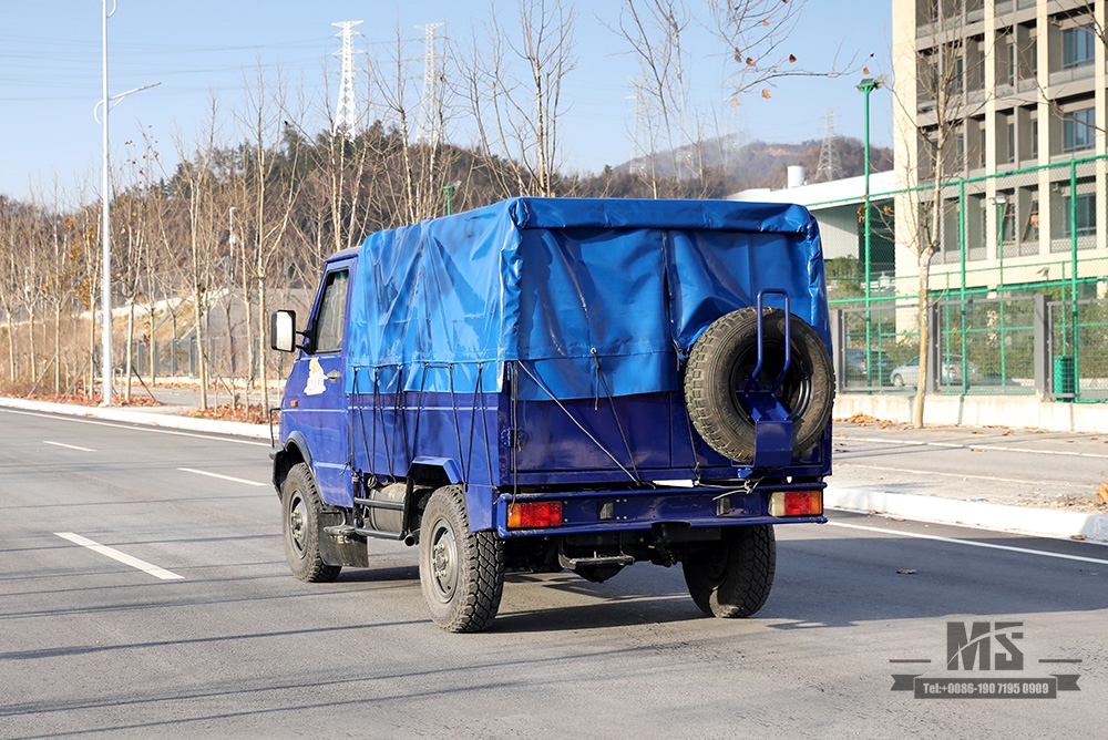 ຂັບລົດສີ່ລໍ້ສີຟ້າ IVECO Off Road Truck_4*4 113hp Short Head Row Single Light Truck With Tarpaulin Pole_Export Special Vehicle