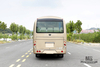 6m Single-axle Village Bus_Dongfeng 19- seater Medium-sized Bus_Export 115hp Countryside Bus