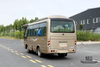 6m Single-axle Village Bus_Dongfeng 19- seater Medium-sized Bus_Export 115hp Countryside Bus