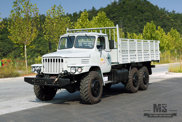 EQ2100 ຂັບລົດຫົກລໍ້ Dongfeng Off Road Truck_6*6 Pointed Head Row Single Cargo Truck Transportation Truck for sale_Export Special Vehicle