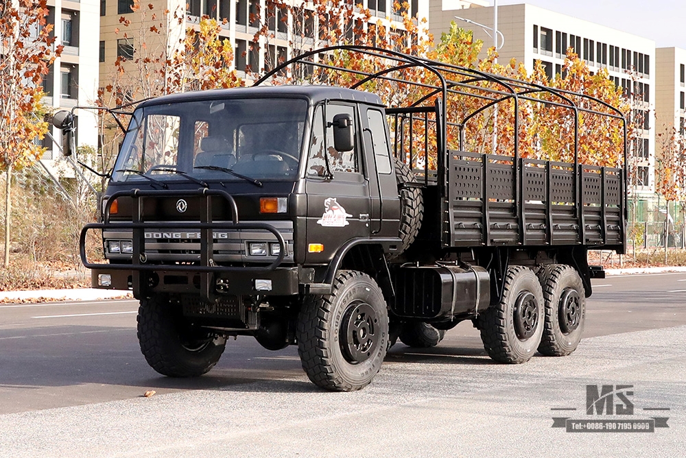 Dongfeng EQ2102 Off-road ສາມເພນ Truck_190 HP ຂັບລົດຫົກລໍ້ Black Cargo Vehicle_All-wheel drive EQ2102G ສົ່ງອອກຍານພາຫະນະຈຸດປະສົງພິເສດ