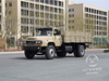 ລົດບັນທຸກ Top-Travice 4x2 | Cummins B190 33 (140kW) | ແກນຫລັງ 10T | ຖັງນໍ້າມັນເຊື້ອໄຟ 300L