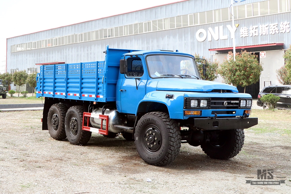 Dongfeng Six wheel Drive Off Road Dump Truck_EQ2100 6×6 210hp Pointed Head Single Row Transportation Truck_All-wheel-Drive Export ລົດບັນທຸກພິເສດ