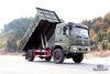 Dongfeng 4*4 Off Road Dump Truck_Dongfeng 210hp 4×4 Off-road Flathead Row Half Truck_Export ລົດພິເສດ