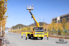 Dongfeng 4*2 ລົດບັນທຸກເບົາ Tip Off-road Lifting Truck_Small trimming Sanitation Lifting Truck_Export Special Micro Vehicle