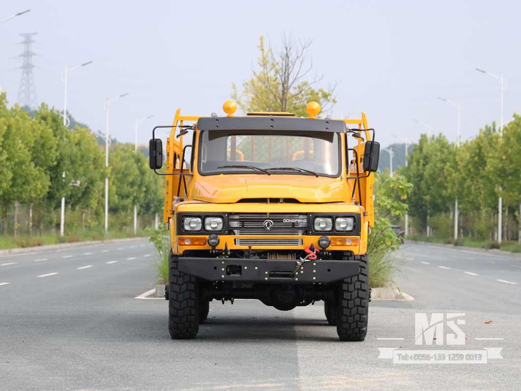 Export-Only Dongfeng 8-Ton 6-Wheel Drive Cargo Truck ທີ່ມີເຄື່ອງຈັກ 170 HP |EQ3253GP6