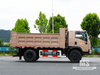 Dongfeng 10 Ton Four-wheel-drive Flathead Dump Truck (170 HP) | ລົດບັນທຸກສົ່ງອອກພິເສດ 