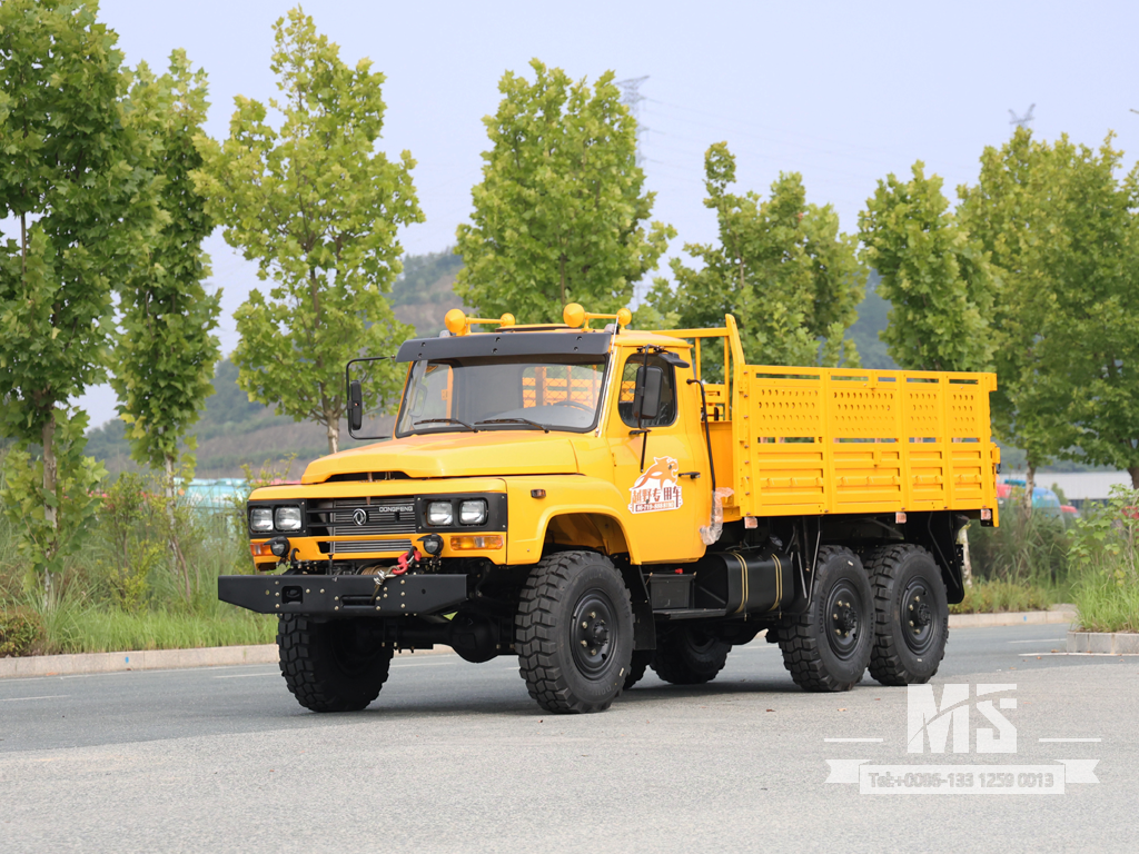 Export-Only Dongfeng 8-Ton 6-Wheel Drive Cargo Truck ທີ່ມີເຄື່ອງຈັກ 170 HP |EQ3253GP6