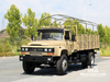 10 Ton 4X2 Tip Cab Off-road Truck (190 HP) | ຍານພາຫະນະ Dongfeng