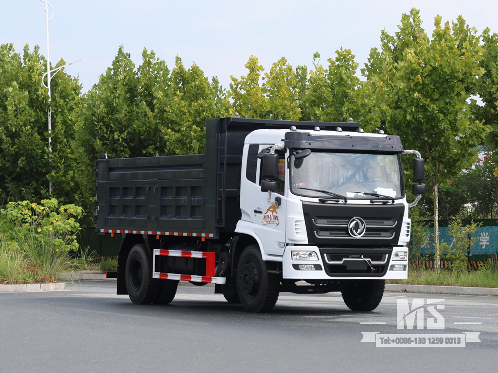 ລົດບັນທຸກ 4×2 Flathead Dump, Tipper ສໍາລັບການກໍ່ສ້າງ ແລະຂຸດຄົ້ນບໍ່ແຮ່