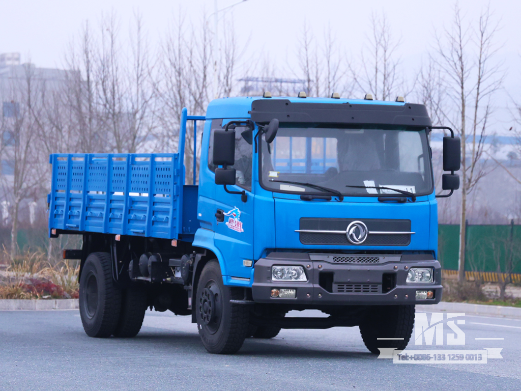 Dongfeng 4X2 Cabover Flatbed Truck | ລົດບັນທຸກ SingleRow Cab 210HP 