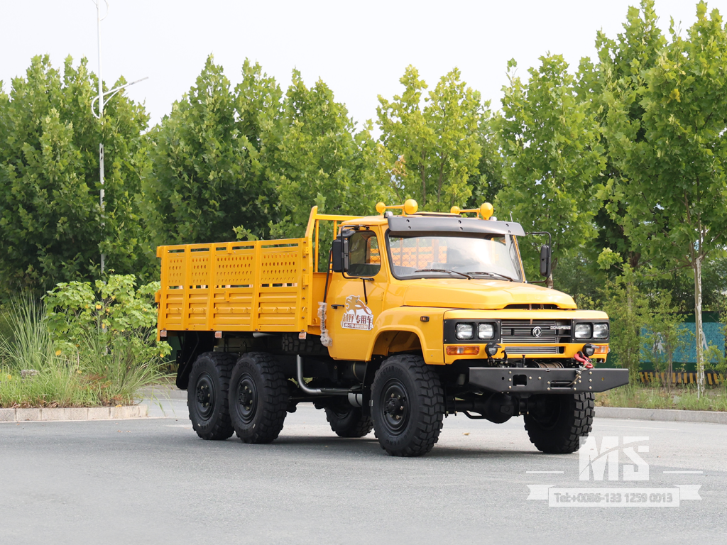 Export-Only Dongfeng 8-Ton 6-Wheel Drive Cargo Truck ທີ່ມີເຄື່ອງຈັກ 170 HP |EQ3253GP6