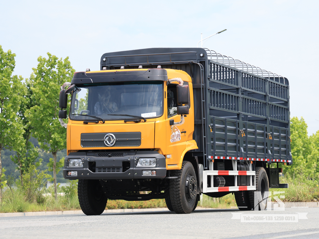 Dongfeng 19 Ton Flat Semi Cab Box-Type Transport Dump Truck (260 HP) | ລົດບັນທຸກສົ່ງອອກພິເສດ 